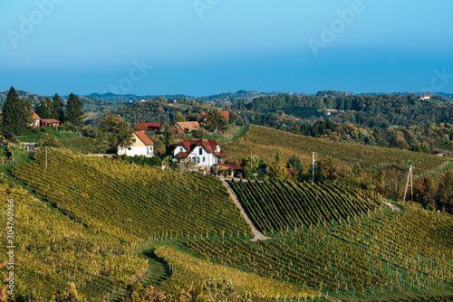 Wine road, Maribor, Slovenia photo