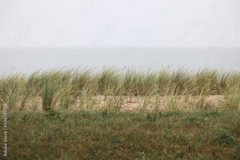 Obraz premium Dune grass on the beach