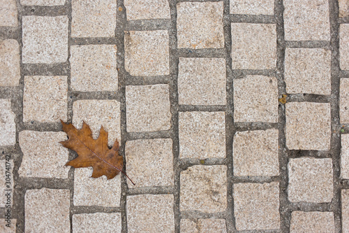 square paving slabs, foliage on the road
