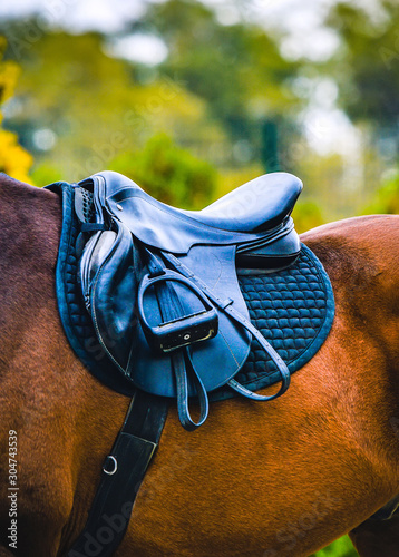 Black horse leather saddle, black saddle blanket and stirrups with dark straps dressed on the horse.