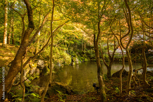 Fototapeta Naklejka Na Ścianę i Meble -  京都のお寺の紅葉シーズンの風景