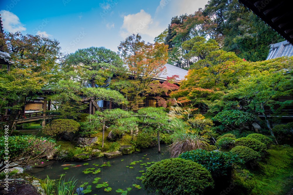 Fototapeta premium 京都のお寺の紅葉シーズンの風景