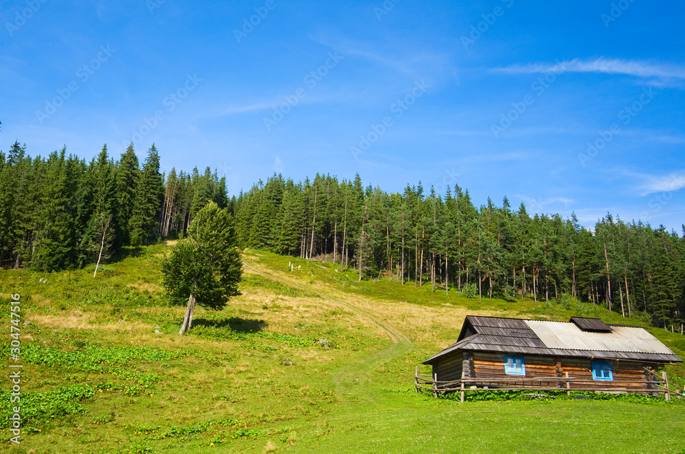 Wooden shepherd house in a mountains. Traditional small hut in Carpathian mountains on green meadow called Polonyna or montane meadow.  Traditional rural landscape in mountains. Carpathians, Ukraine.