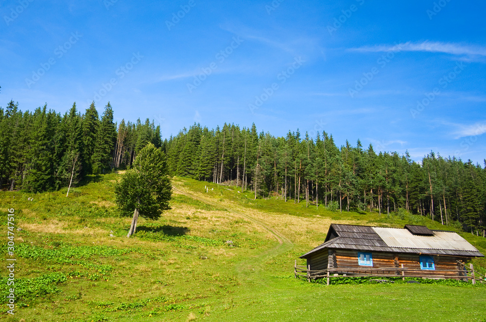 Wooden shepherd house in a mountains. Traditional small hut in Carpathian mountains on green meadow called Polonyna or montane meadow. Traditional rural landscape in mountains. Carpathians, Ukraine. Wooden shepherd house in a mountains. Traditional small hut in Carpathian mountains on green meadow called Polonyna or montane meadow. Traditional rural landscape in mountains. Carpathians, Ukraine.