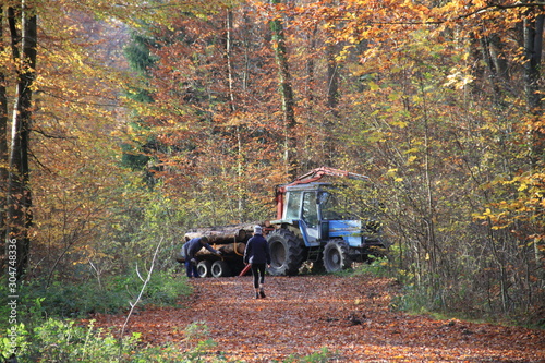 Tracteur dans les bois