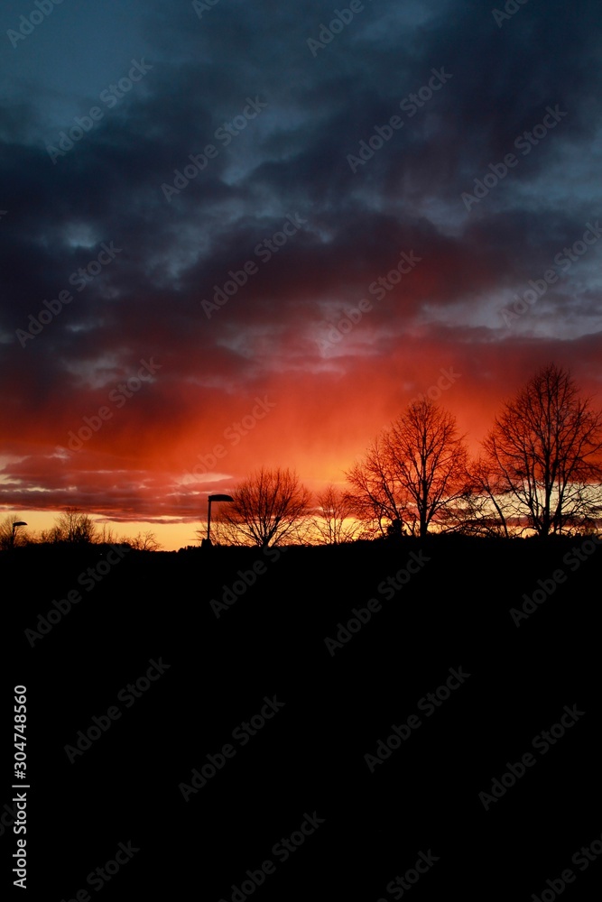 Obraz premium silhouette of a tree at sunset, In Sweden