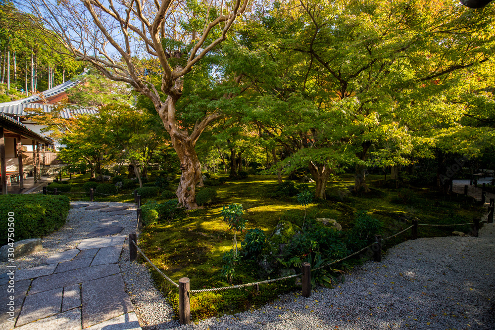 京都の観光名所圓光寺の庭園風景