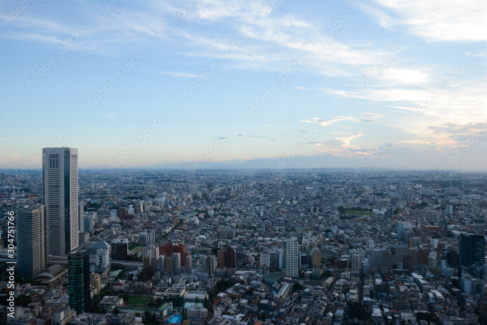 Vista de Tokio