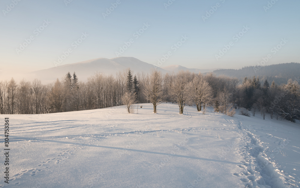 winter morning on Butoranka bellow Lysa hora hill in Moravskoslezske Beskydy mountains in Czech republic