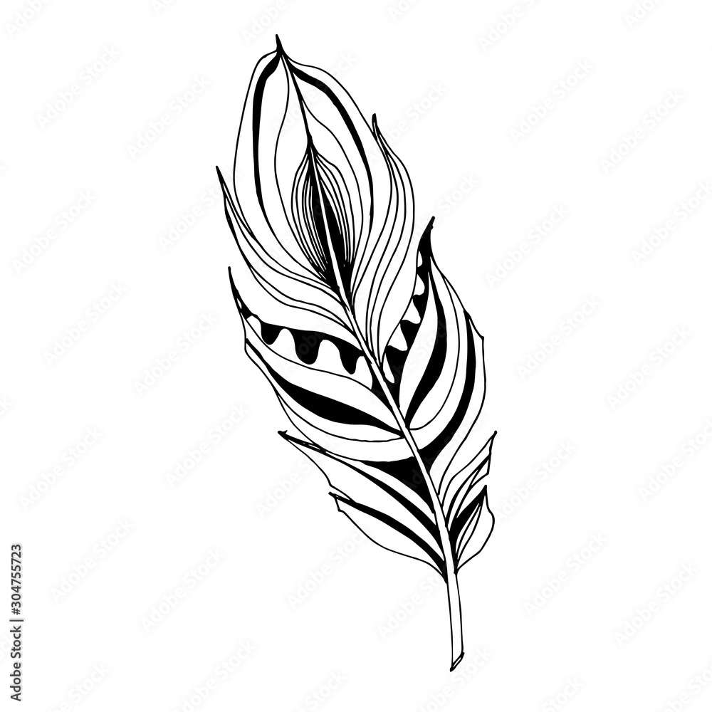 Vector Bird feather from wing isolated. Black and white engraved ink art. Isolated feathers illustration element. Vector Bird feather from wing isolated. Black and white engraved ink art. Isolated feathers illustration element.