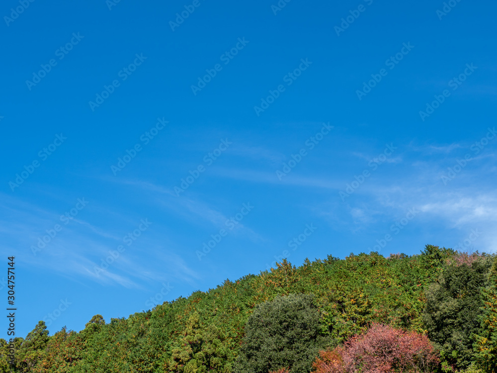 紅葉が始まった山と秋晴れの青空