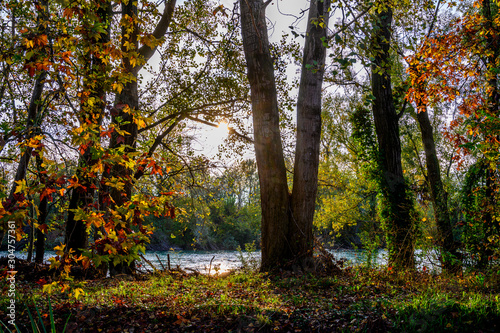 Walk at dawn amid the trees, branches and green leaves. In the background the water of the river Adda.