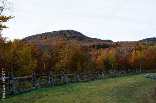 Vermont Foliage October autumn leaves 2