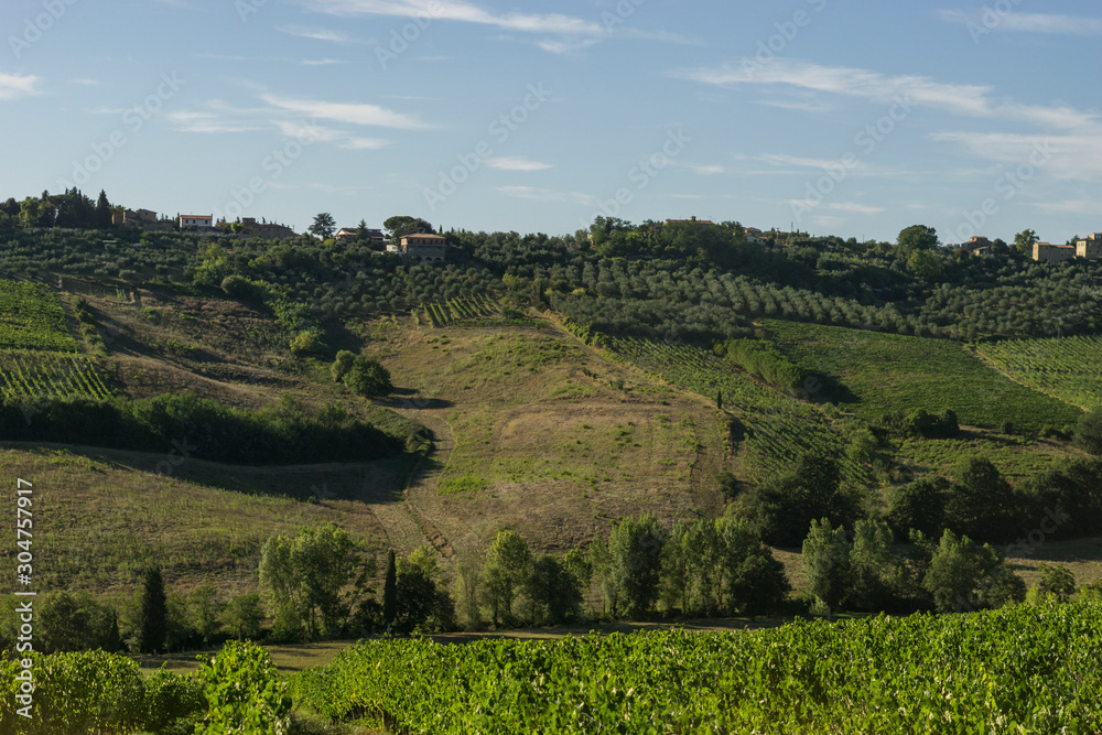 Fototapeta premium Farmland in Tuscan countryside