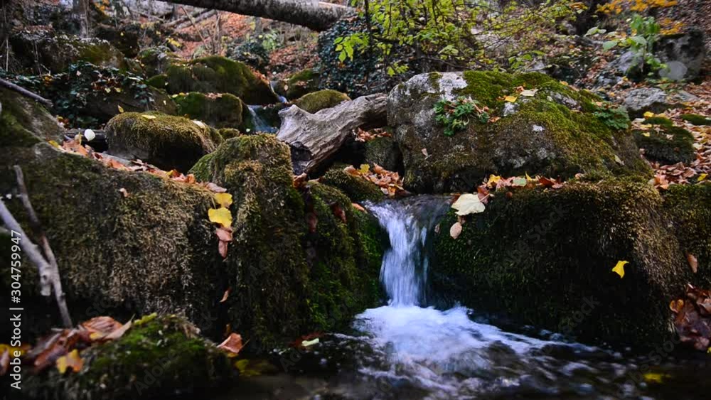 Mountain river cascades in the autumn forest