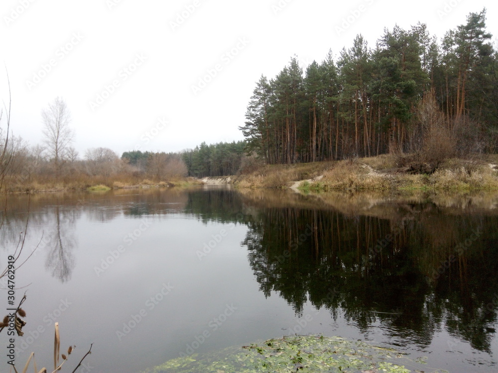 River, pine forest and sandy shore in autumn