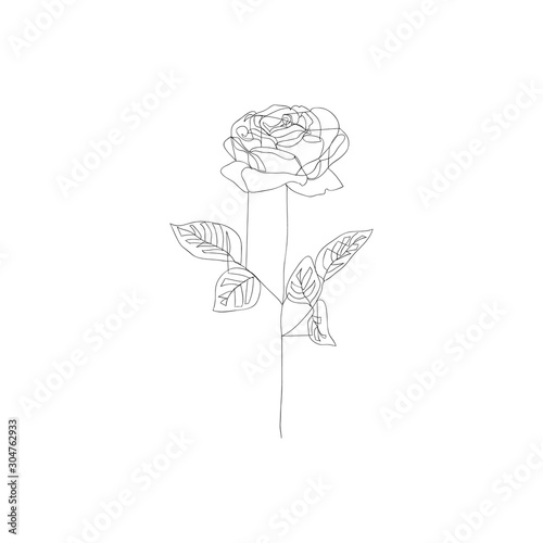 Rose - one line drawing