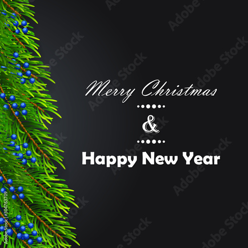 Christmas background with fir branches 