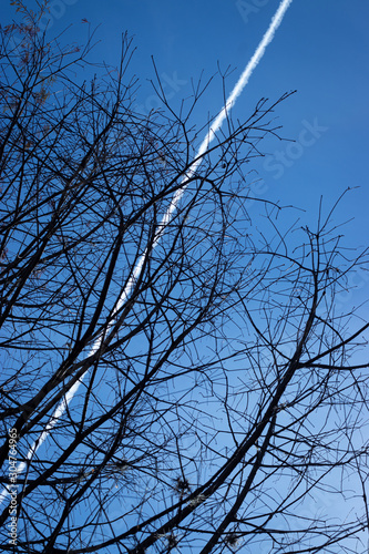 Blue sky view in autumn
