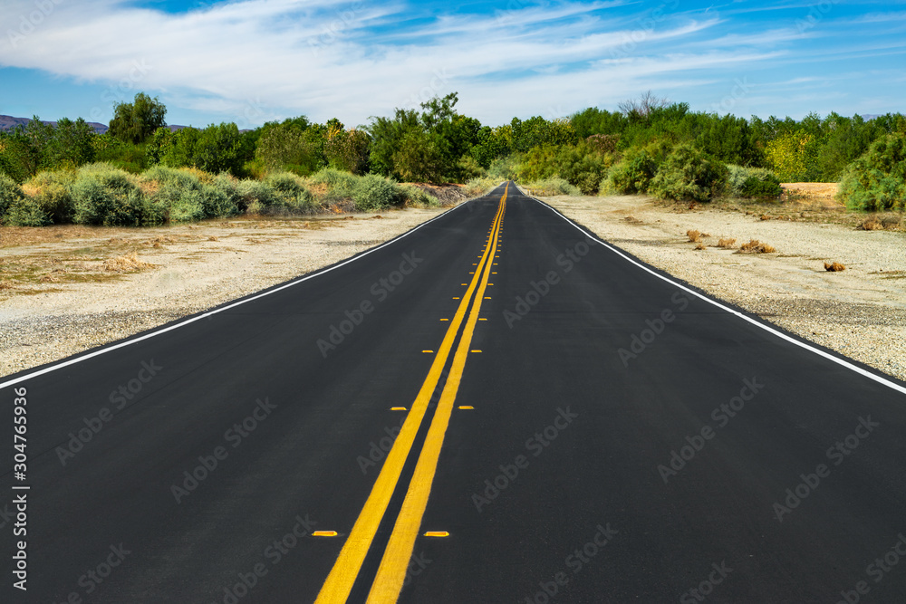 Naklejka premium Long road from desert to green trees