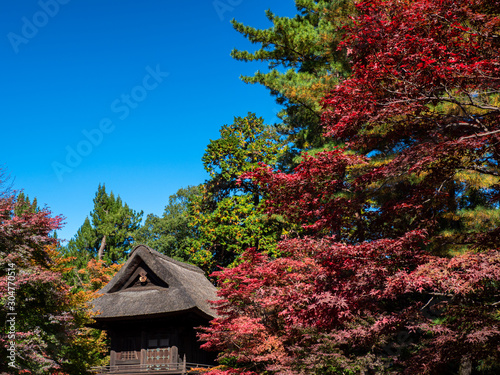 秋晴れの平林寺 © 正人 竹内