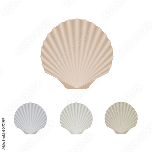 Seashell - set vector icons. 