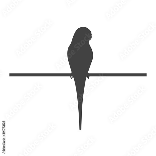 Budgerigar icon - Budgie, parakeet - vector illustration