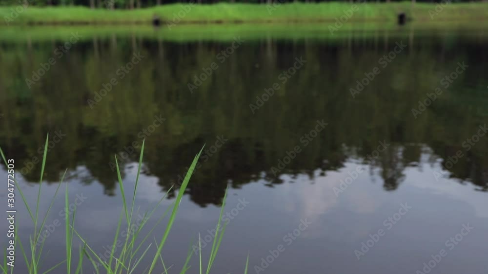 Calm water in the pond in the park with green grass in foreground Calm water in the pond in the park with green grass in foreground