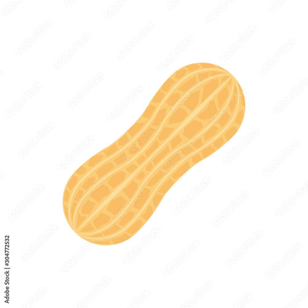 Peanut. Isolated vector Illustration. Peanut. Isolated vector Illustration.
