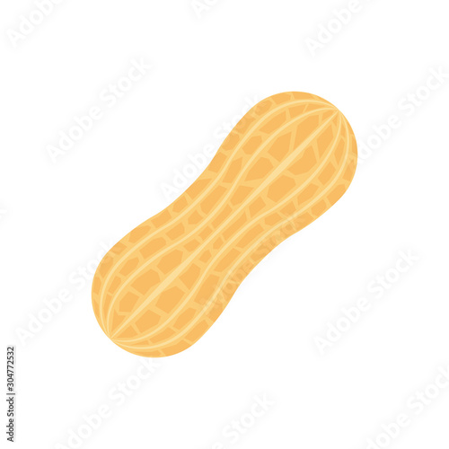 Peanut. Isolated vector Illustration.