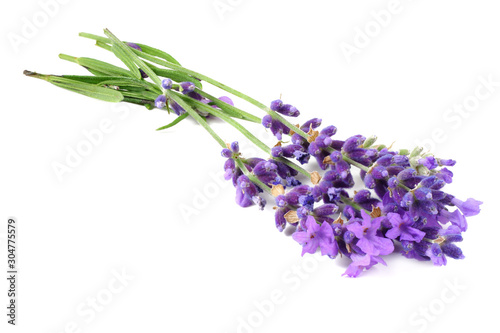 Fototapeta Naklejka Na Ścianę i Meble -  lavender flowers isolated on white background. bunch of lavender flowers.
