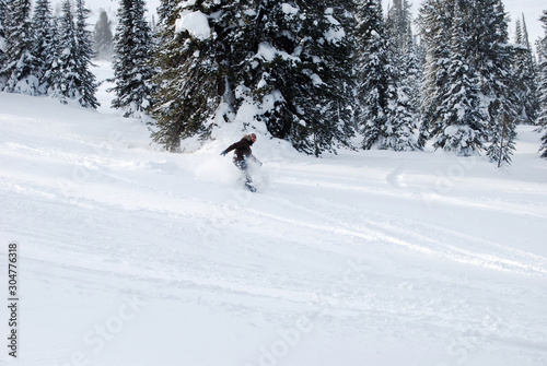 Snowboarder riding on the background of fir trees covered with snow. Winter forest.
