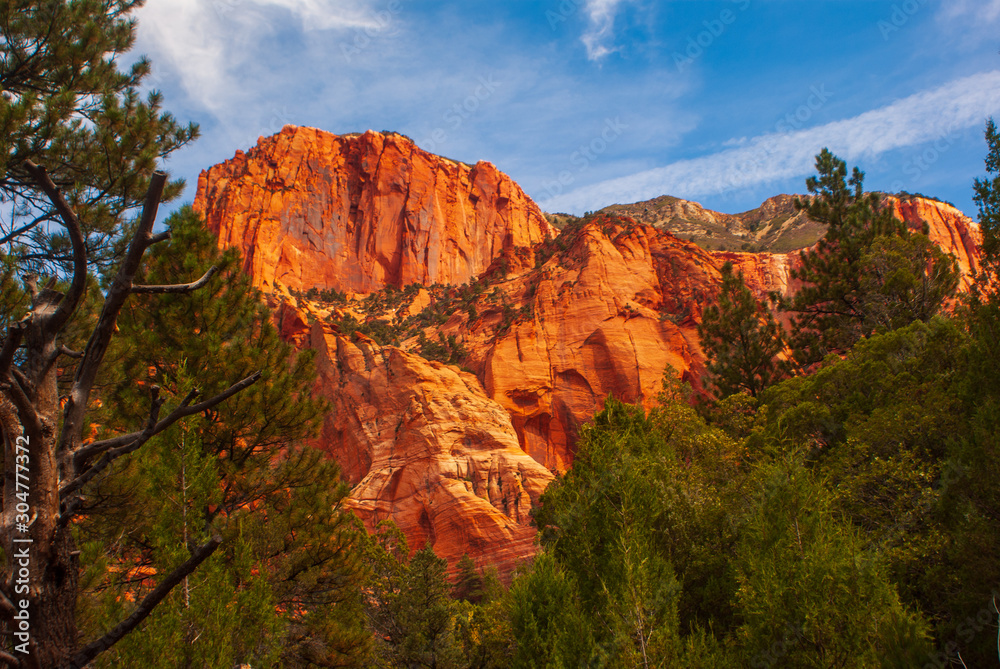Red Sandstone in Kolob Canyon