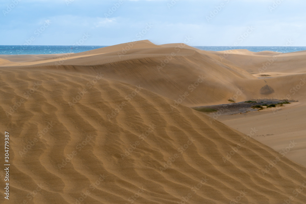 Amazing sand dunes during sunny and windy day in the Natural Reserve of Dunes of Maspaloma in Gran Canaria with sand dust and ocean in background, Canary Islands, Spain