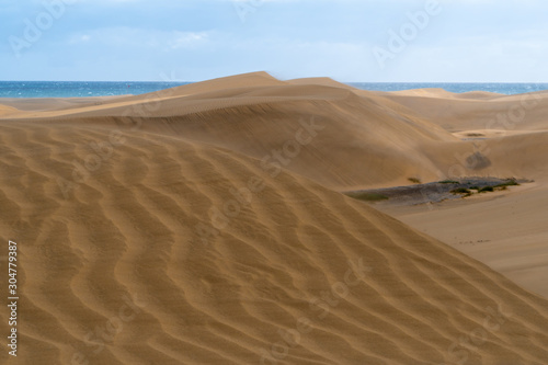 Amazing sand dunes during sunny and windy day in the Natural Reserve of Dunes of Maspaloma in Gran Canaria with sand dust and ocean in background, Canary Islands, Spain