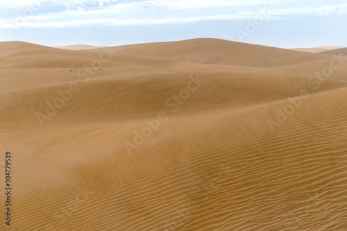 Amazing sand dunes during sunny and windy day in the Natural Reserve of Dunes of Maspaloma in Gran Canaria with sand dust, Canary Islands, Spain