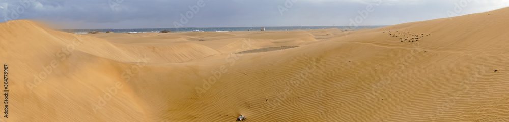 Wide Panorama of the stunning sand dunes during sunny and windy day in the Natural Reserve of Dunes of Maspaloma in Gran Canaria with sand dust and ocean in background