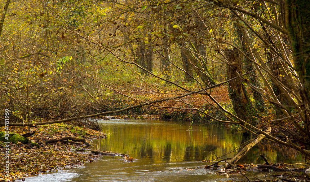 November im Ried bei Erstein im Elsass November im Ried bei Erstein im Elsass