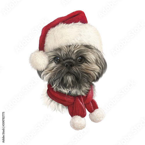 Canvastavla Chrysanthemum dog in a New Year hat and red scarf isolated on white background