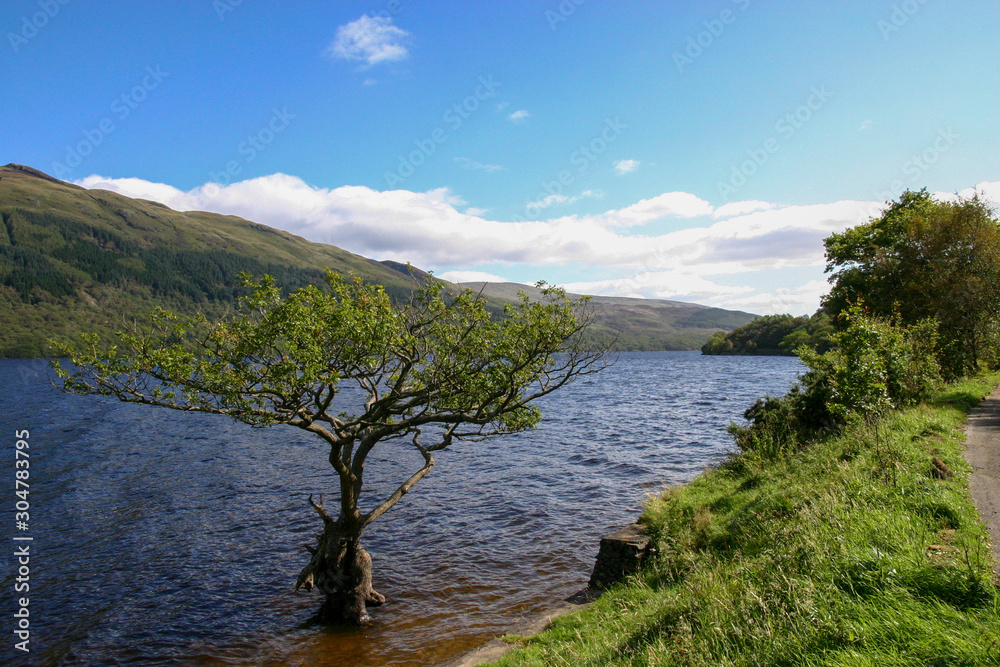 Naklejka premium View across Loch Lomond from Firkin Point in Scotland