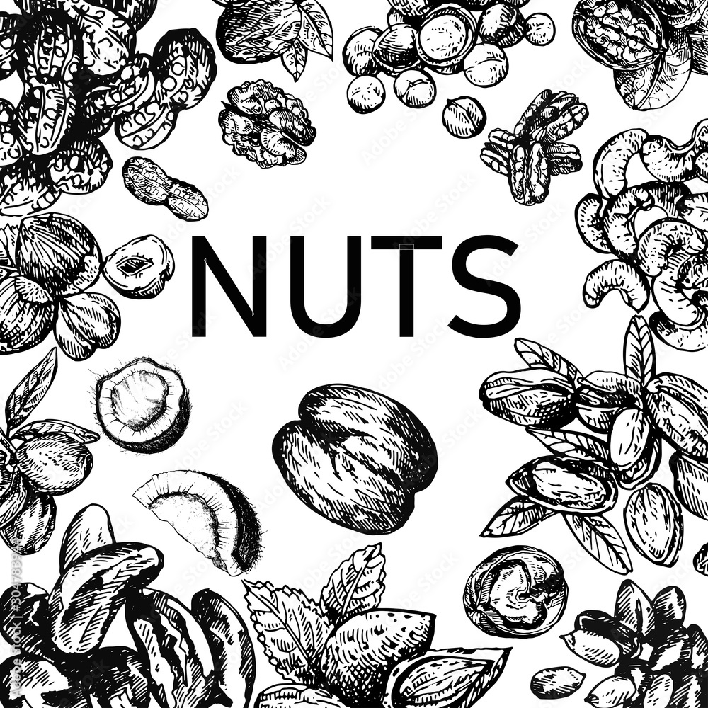 Fototapeta premium Poster card composition of hand drawn sketch style different kinds of nuts isolated on white background. Vector illustration.