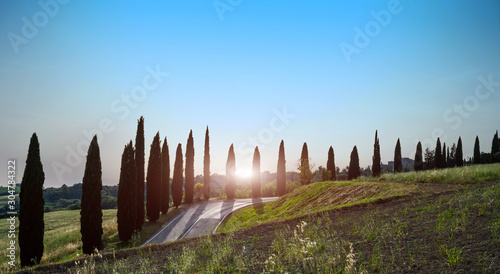 Landscape with a cypresses and rural path near Siena town in Tuscany, Italy.
