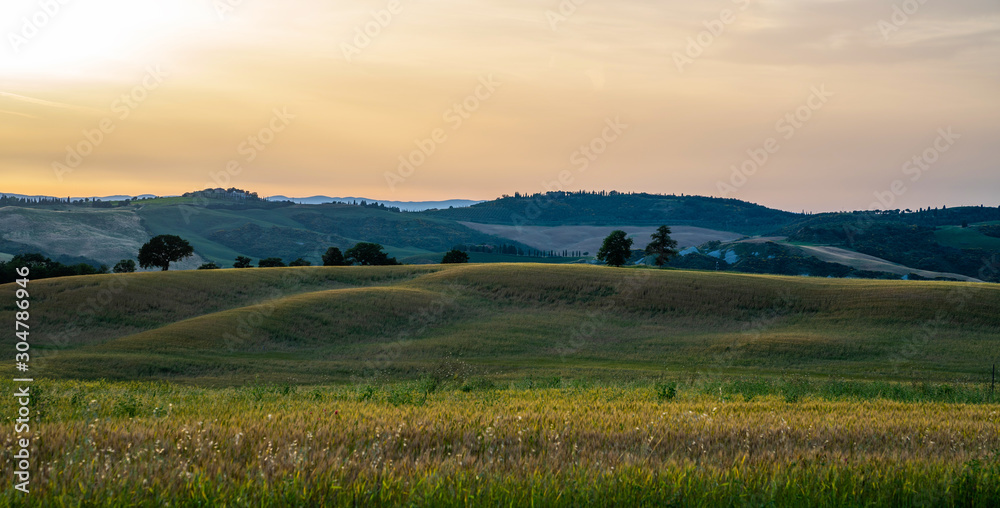 Tuscany, rural landscape. Rolling hills, countryside farm, cypresses trees, green field on warm sunset. Italy, Europe.