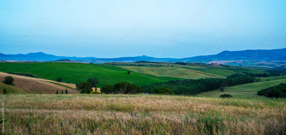 Tuscany, rural landscape. Rolling hills, countryside farm, cypresses trees, green field. Italy, Europe.