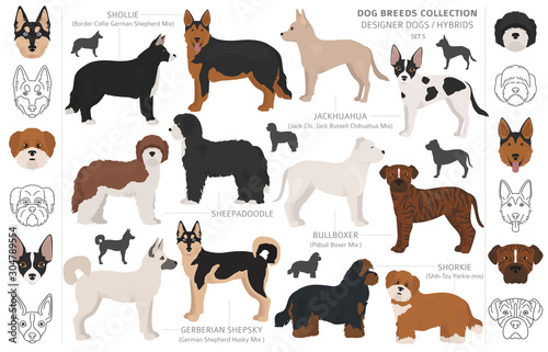 Designer dogs  crossbreed  hybrid mix pooches collection isolated on white. Flat style clipart dog set.