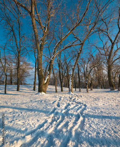 Winter landscape on a sunny day