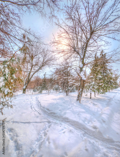Sunny winter day 