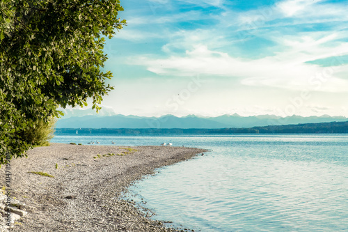 Beach with a tree at a lake  Starnbergersee 