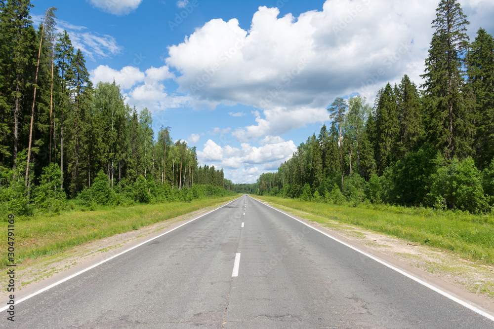 Fototapeta premium Asphalt road in the Vologda region 