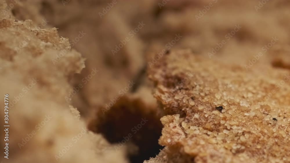 Camera move through breaking homemade bread. Organic food and bakery concept. Wholegrain bread. Super close up view in 4k, UHD Camera move through breaking homemade bread. Organic food and bakery concept. Wholegrain bread. Super close up view in 4k, UHD